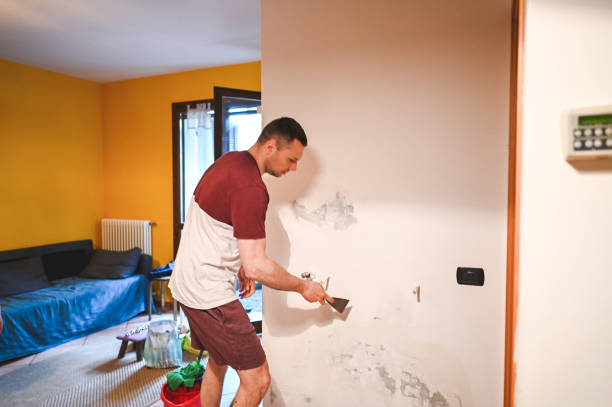 Best Crawl Space Mold Remediation in Nokomis, IL